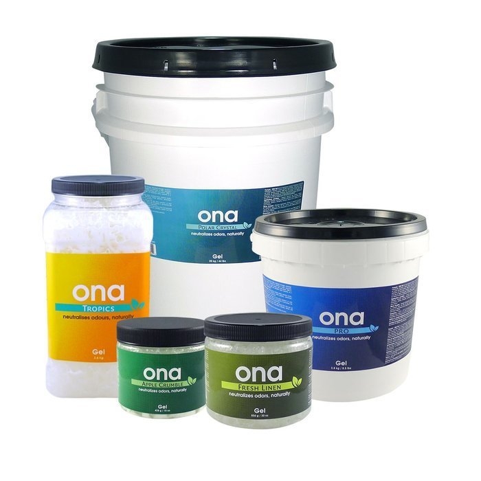 ONA ŻEL APPLE CRUMBLE WIADRO 3,8KG