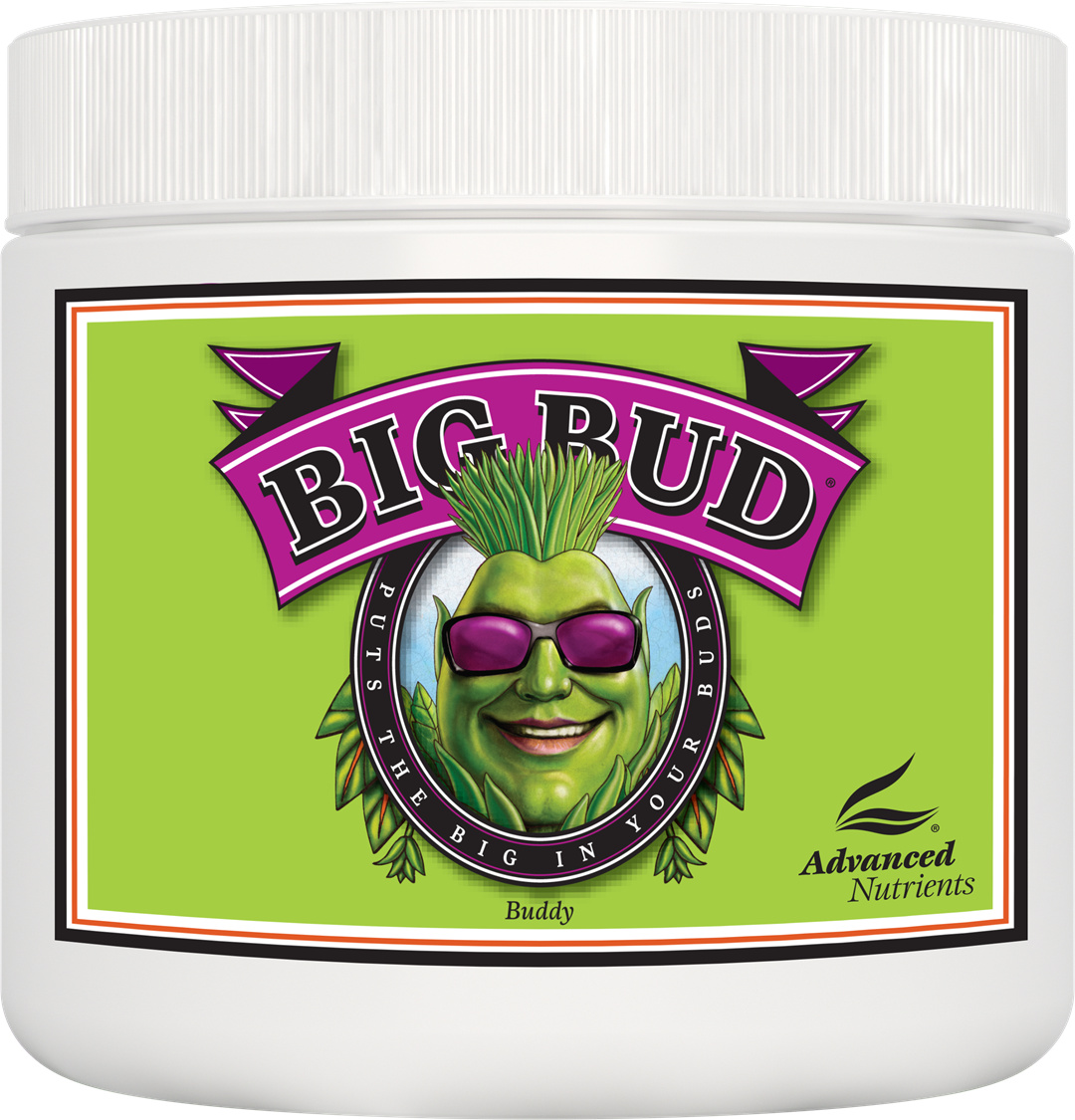 ADVANCED NUTRIENTS BIG BUD PROSZEK 500GR