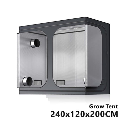 GROWTENT DIAMOND 240*120*200