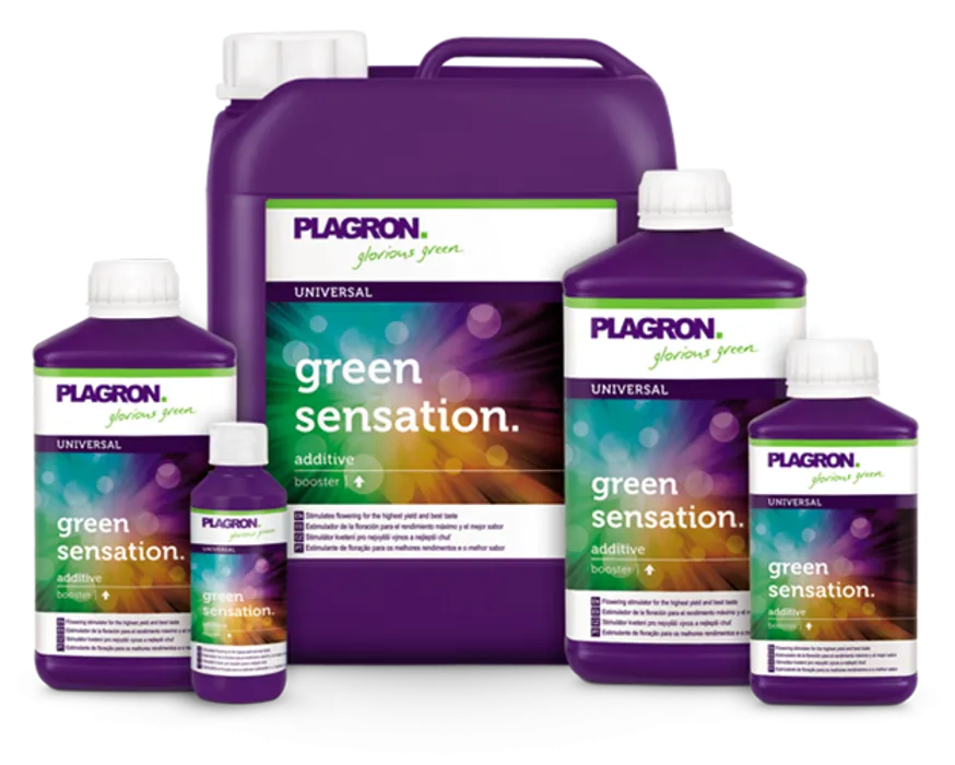 PLAGRON GREEN SENSATION 500ML
