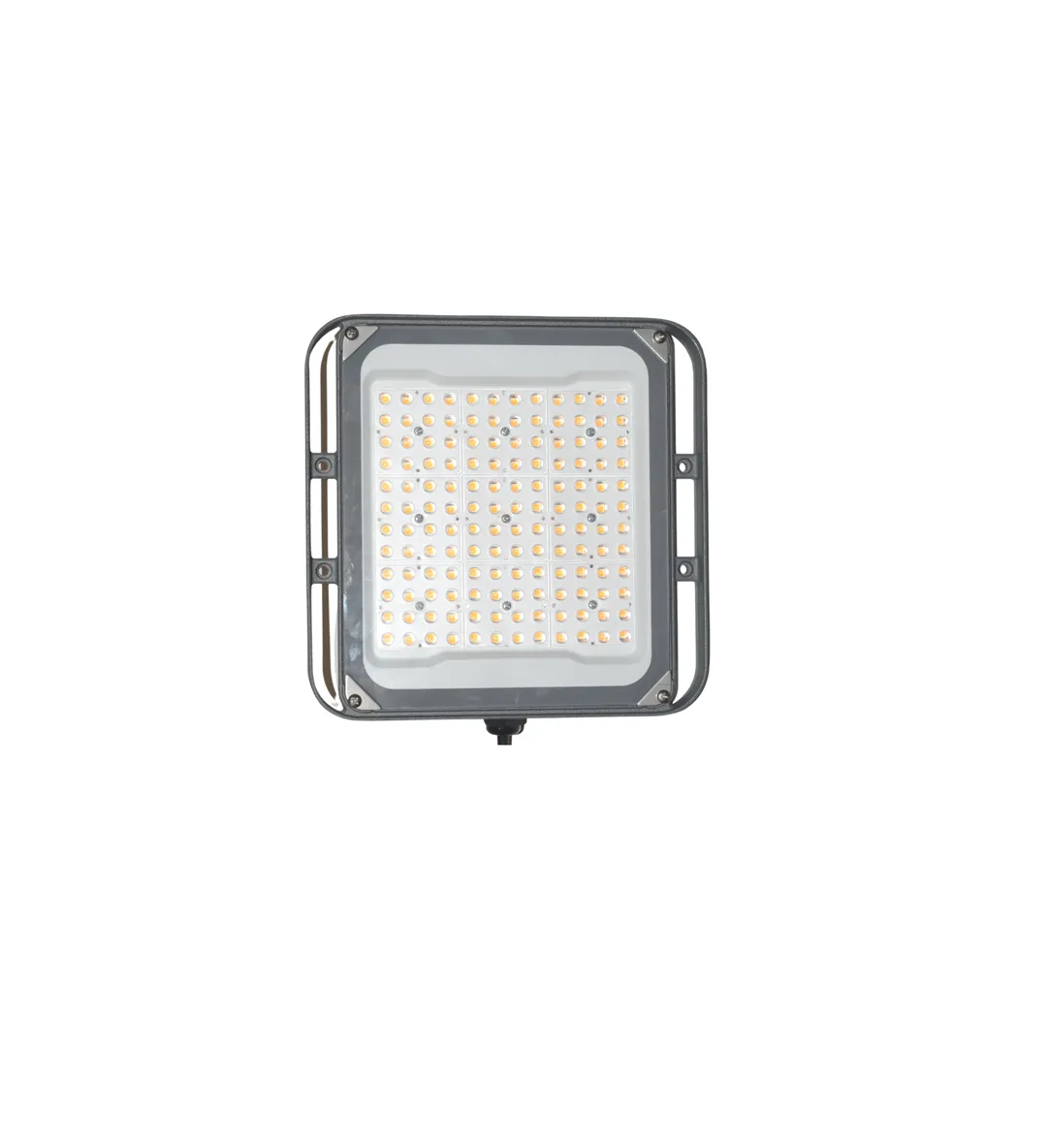 PERFANDLED HORTI 2 SQ 100W