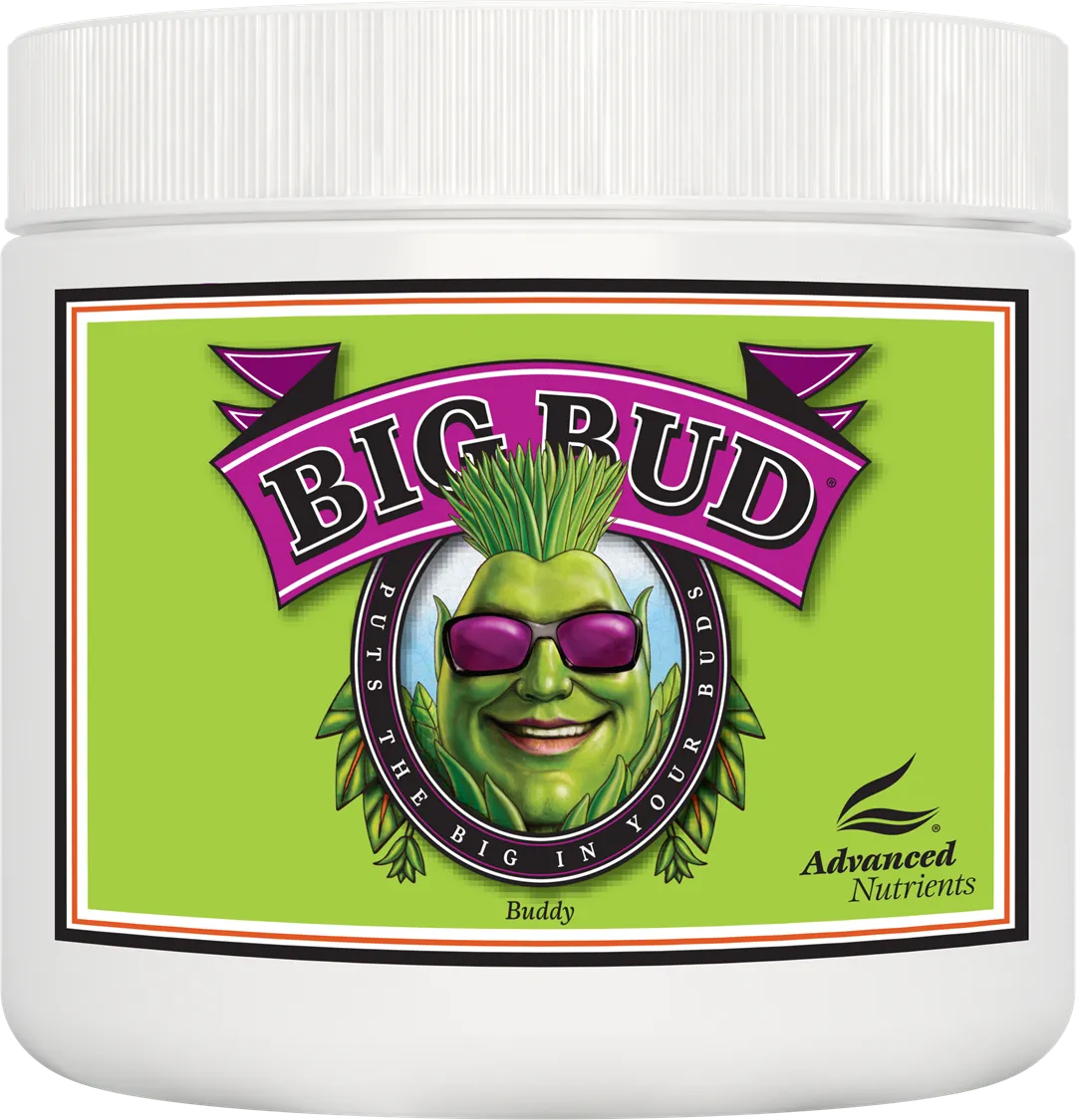 ADVANCED NUTRIENTS BIG BUD PROSZEK 500GR