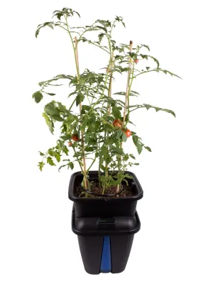 PLANT!T GEMINI SYSTEM HYDROPONICZNY 1 PLANT