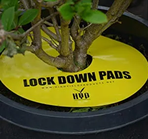 PUŁAPKA OWADOBÓJCZA LOCK DOWN PADS FI15CM 8SZT
