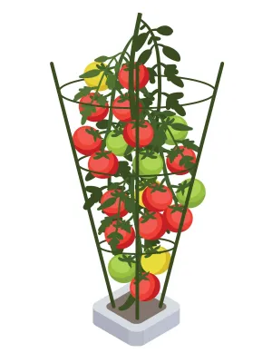 PLANT SUPPORT 75CM
