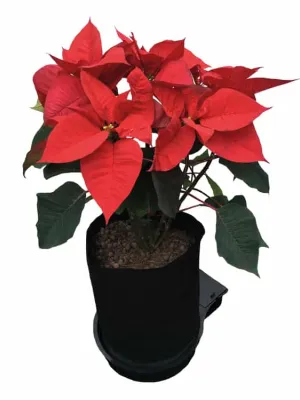 AUTOPOT SMARTPOT MODUŁ 18,9L APSMART/MODULE 9MM