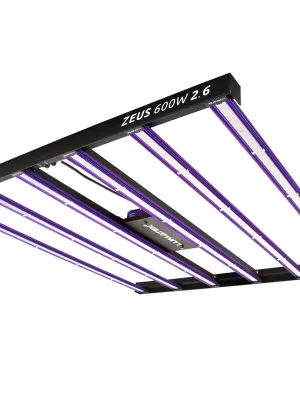 LUMATEK ZEUS 600W LED 2.6