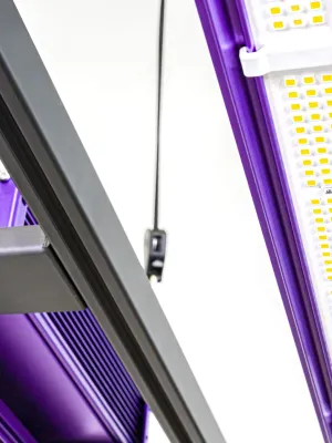LUMATEK ZEUS COMPACT 465W PRO 3.1 LED