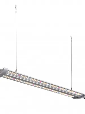 LAMPA  HORTIMOL TLED 60W