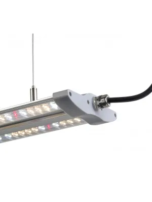 LAMPA  HORTIMOL TLED 60W