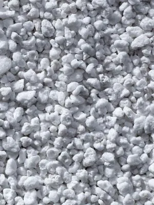 BIOVITA PERLIT 20L