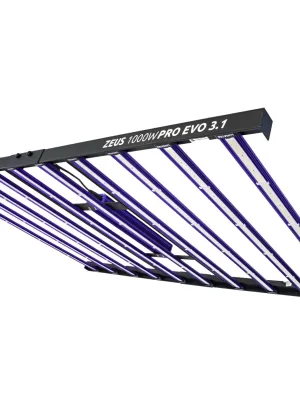 LUMATEK ZEUS 1000W PRO 3.1