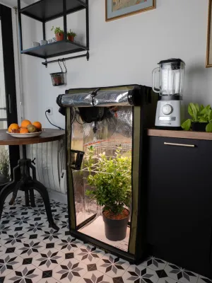 SECRET JARDIN FOR TWENTY 100