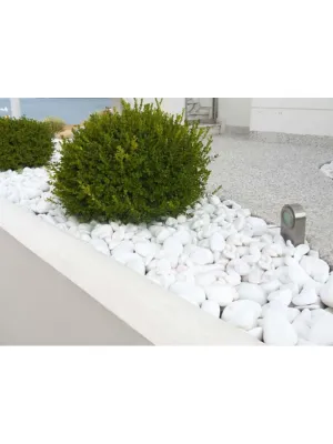 BIOVITA GRYS EXTRA WHITE THASSOS 60-100MM 20KG