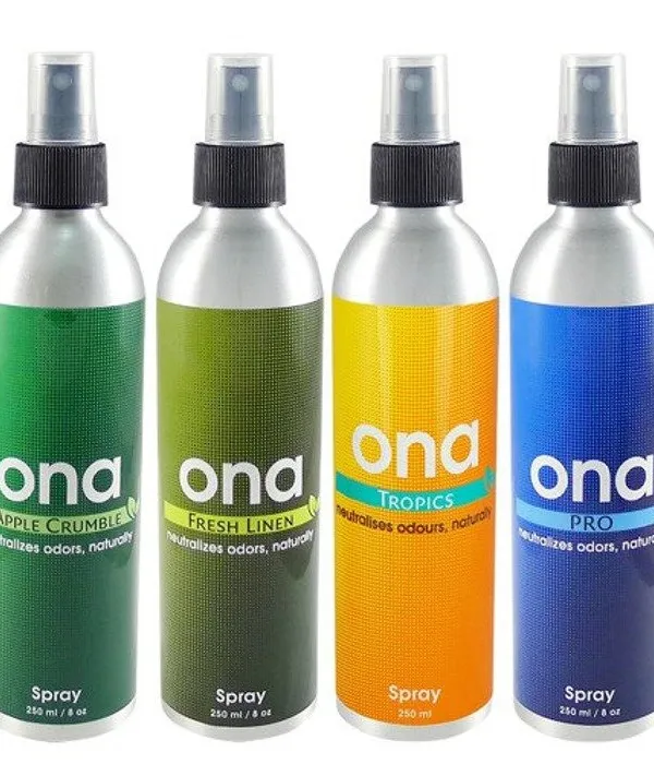 Produkt ONA SPRAY APPLE CRUMBLE 250ML Obraz