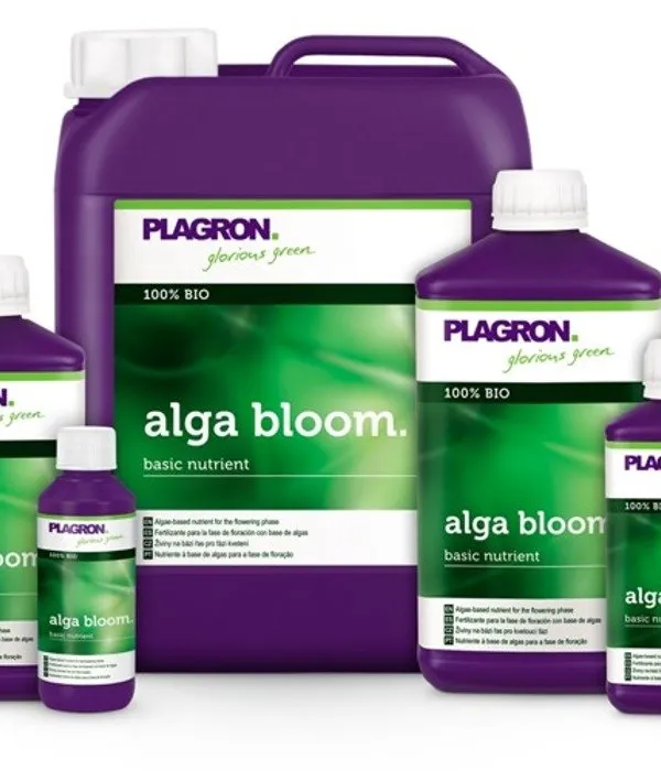 Produkt PLAGRON ALGA BLOOM 100ML Obraz