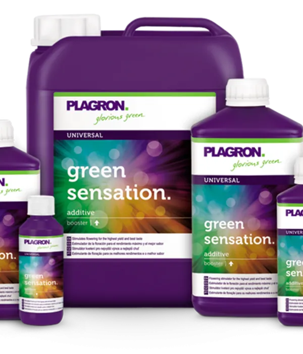 Produkt PLAGRON GREEN SENSATION 500ML Obraz