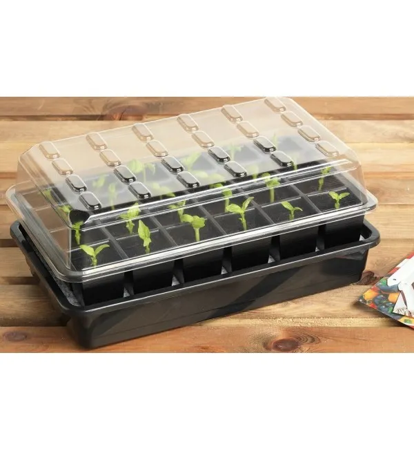 Produkt GARLAND SZKLARENTA/PROPAGATOR 24 SADZONEK Obraz