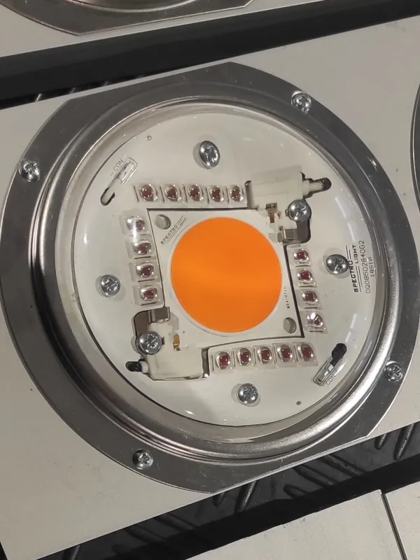 Produkt SPECTROLIGHT SOCZEWKA 120' BLAST PLUS Obraz