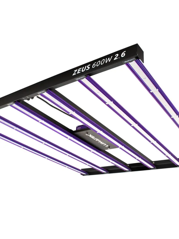 Produkt LUMATEK ZEUS 600W LED 2.6 Obraz
