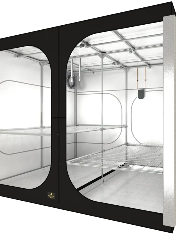 Produkt SECRET JARDIN DARK ROOM 240 (DF25) Obraz