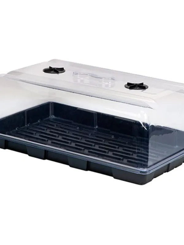 Produkt SZKLARENKA PROPAGATOR 37*56*H20CM Obraz