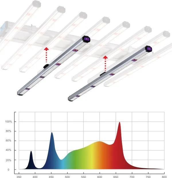 Produkt THINK GROW LED UV-1 Obraz