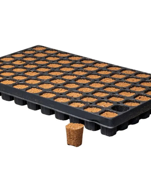 Produkt CANNA ROOTPLUG TACA 77 Obraz