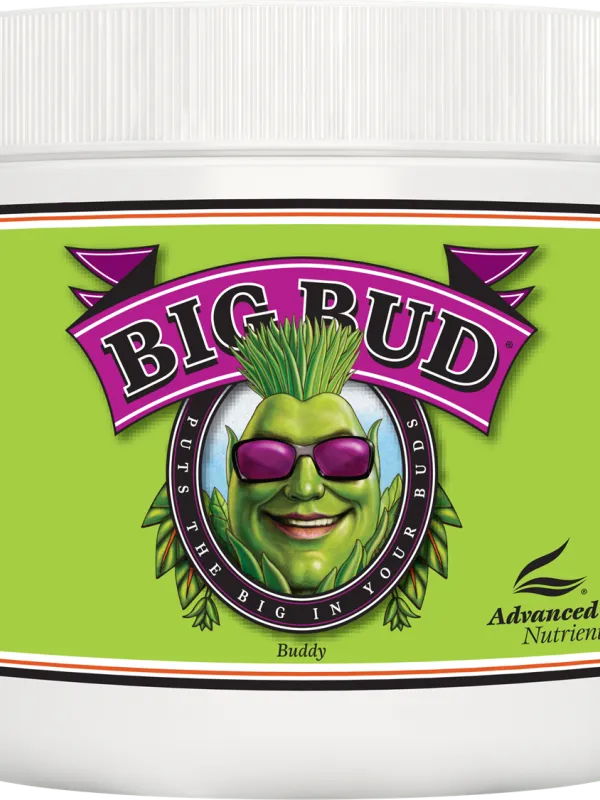 Produkt ADVANCED NUTRIENTS BIG BUD PROSZEK 500GR Obraz